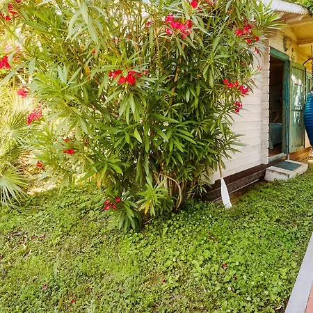Holiday home Villetta Al Mare Con Giardino Misano Adriatico
